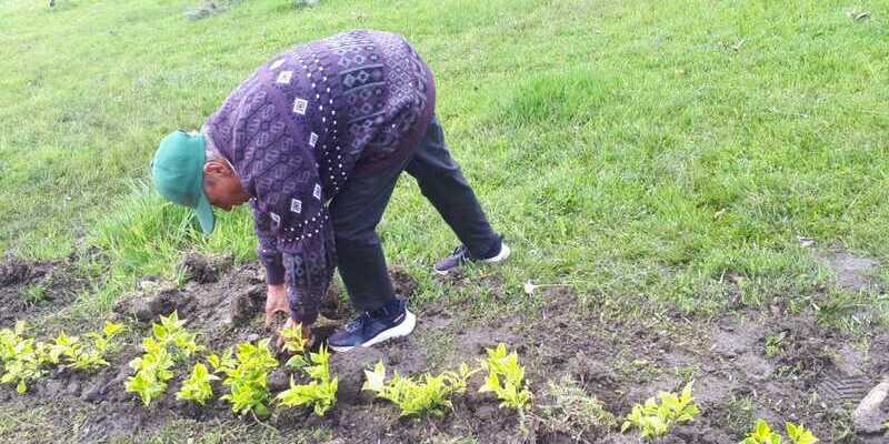 Adultos mayores y estudiantes unidos por el medio ambiente, en el CBA Belmira