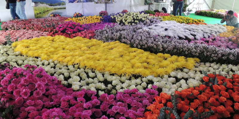 ExpoCundinamarca 2018, un desafío con mirada internacional








































