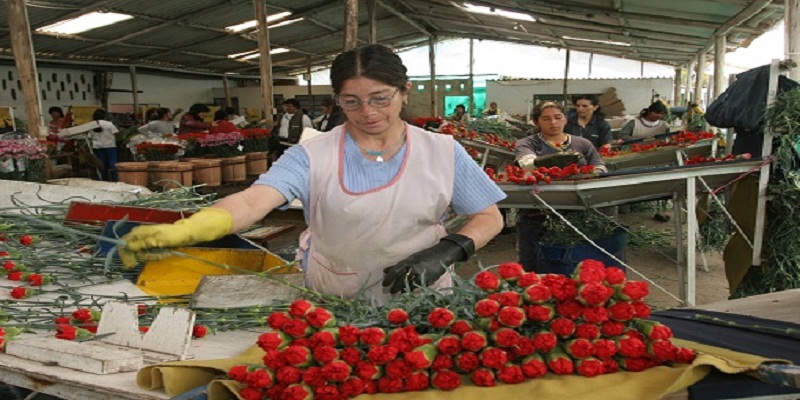 Equidad para las mujeres, un logro del gobierno cundinamarqués en 2017 


















