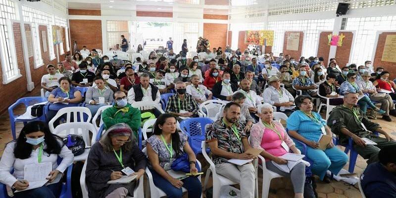 Así se fortalece la producción de guadua en Cundinamarca