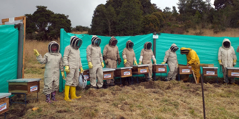 Cundinamarca celebra el Día Mundial de las Abejas