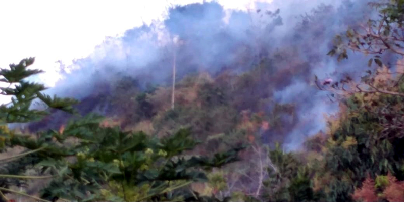 Siete incendios forestales liquidados y dos activos en Cundinamarca


























