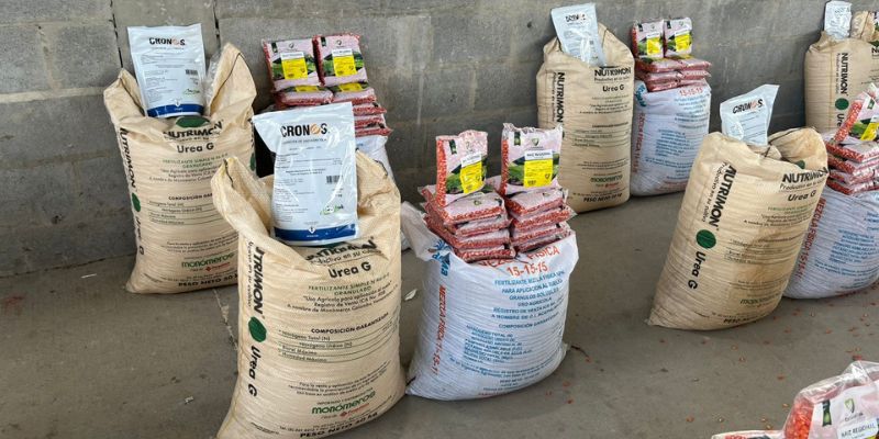 Cundinamarca fortalece la productividad agrícola en Jerusalén
