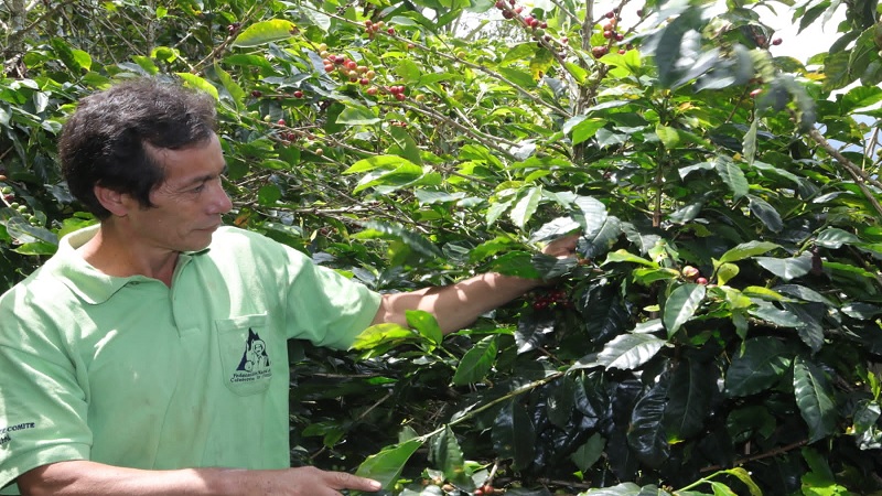 Cundinamarca rinde homenaje a todos los pequeños, medianos y grandes productores del territorio






