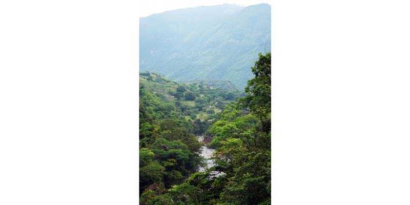 Alerta roja por probabilidad de crecientes súbitas en la cuenca del río Negro












