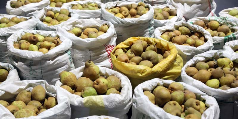 Gracias al trueque, animales del zoológico Jaime Duque, en Tocancipá y del santuario de osos, en Guasca, cuentan con alimentos una semana más




