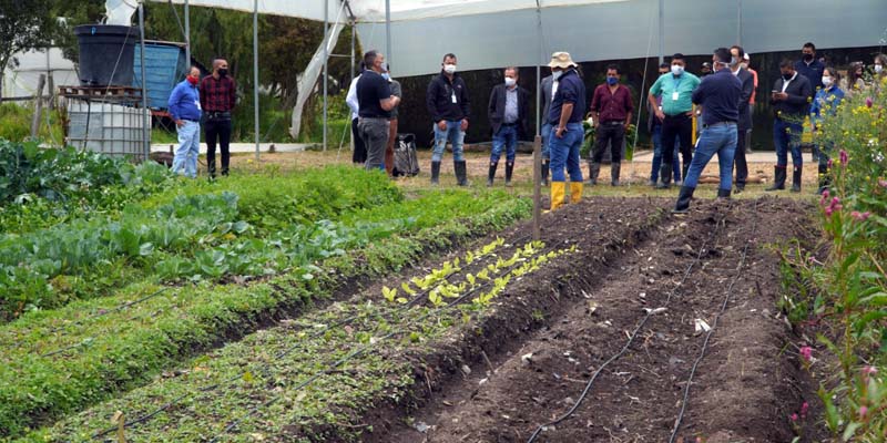 Agricultores reciben sistemas de riego para mejoramiento de producción