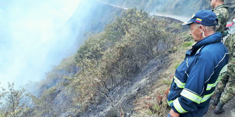 Ciudadanos podrán ser sancionados por provocar o iniciar incendios forestales












