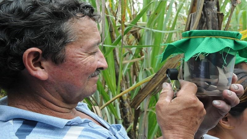 Manuales de Transferencia Tecnológica para sectores agropecuarios y agroindustriales de Cundinamarca



