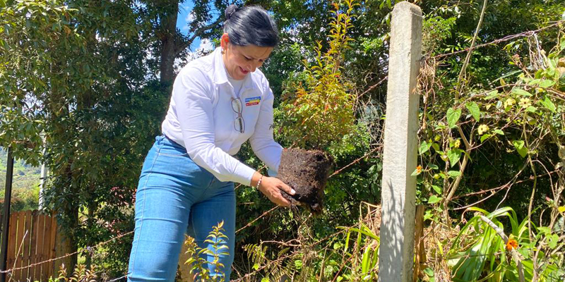 Con la siembra de 400 árboles en Macheta ya son 4.700 en la compensación RAEE por Cundinamarca

