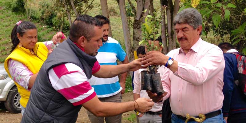 Cundinamarca más verde
