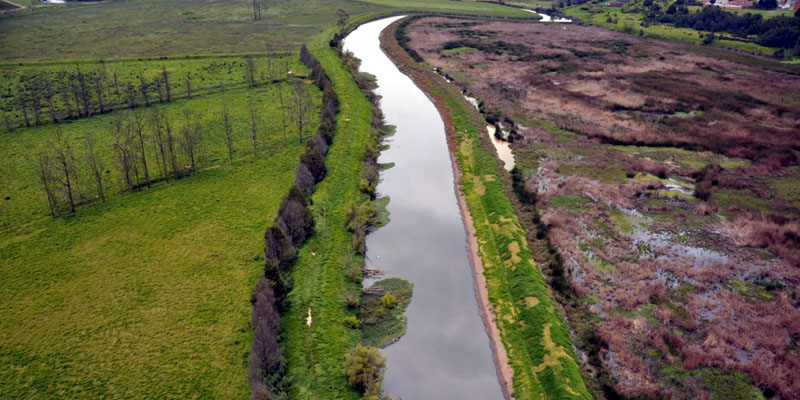 “Vive el río Bogotá”, un encuentro por la recuperación hídrica y ambiental de Cundinamarca












