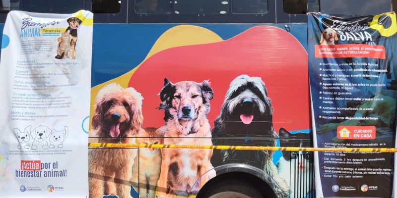Cundinamarca sigue avanzando por el bienestar animal: la gira 2025 llegará a 14 municipios en agosto
