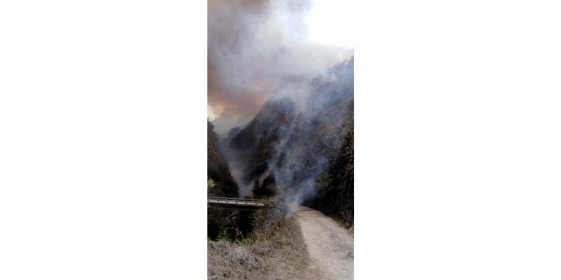 Ejército y Ponalsar atienden incendio forestal en Quetame


