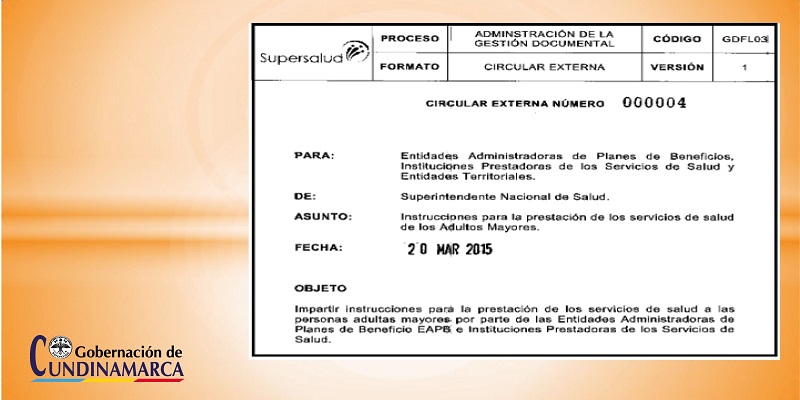INSTRUCCIONES PARA LA PRESTACIÓN DE LOS SERVICIOS DE SALUD DE LOS ADULTOS MAYORES