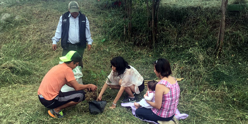Por cada recién nacido en el hospital San Rafael de Fusagasugá se sembrará un árbol