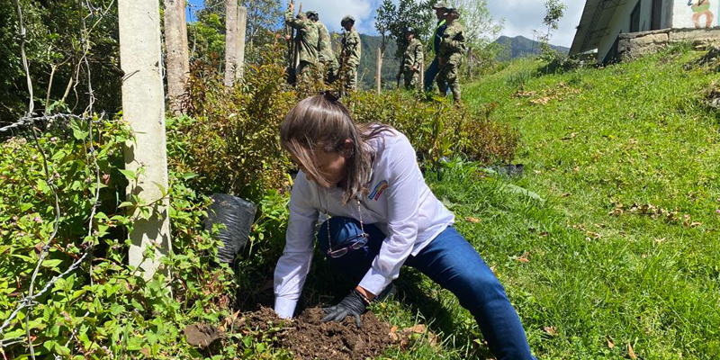 Con la siembra de 400 árboles en Macheta ya son 4.700 en la compensación RAEE por Cundinamarca