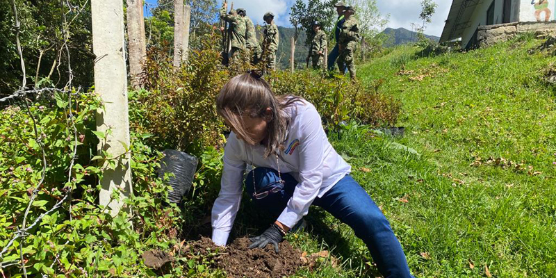 Con la siembra de 400 árboles en Macheta ya son 4.700 en la compensación RAEE por Cundinamarca

