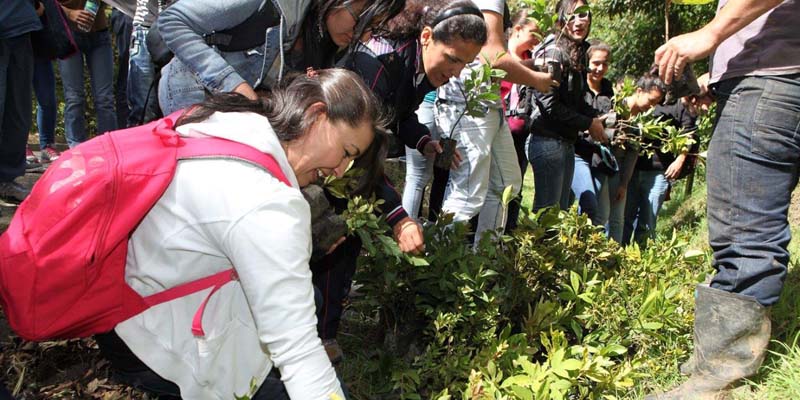 Siembra de 44.000 árboles para revitalizar la cuenca del río Bogotá



















































































