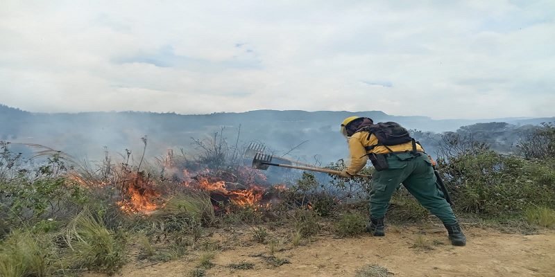 Avanzan labores para extinguir incendio forestal en Mosquera