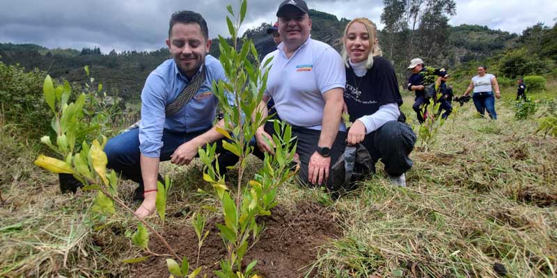 El equipo TIC sembró 400 árboles nativos en Ubaté 






