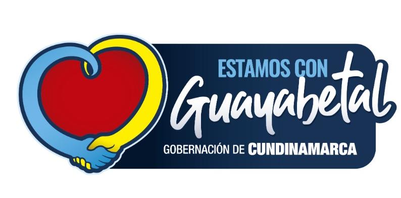 Gobernador Jorge Rey estará este fin de semana en terreno monitoreando las acciones en Guayabetal