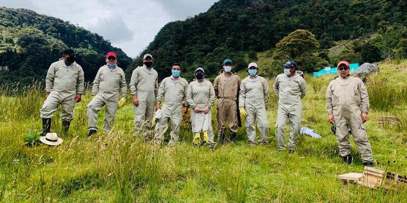 Gobierno departamental fortalece proyecto ‘Abejas con la conservación’