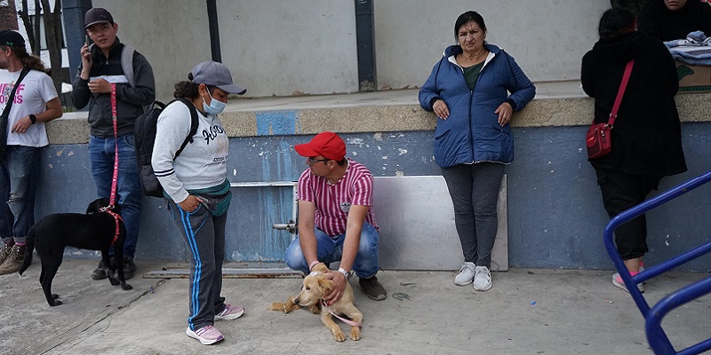 Como parte de la gira ‘Nos comprometemos a:’ en Simijaca se esterilizaron 94 animales y se incentivó la adopción responsable