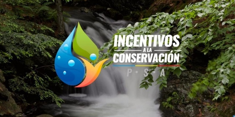 Gobernación recupera más de 3.362 hectáreas de bosque para tener más agua





