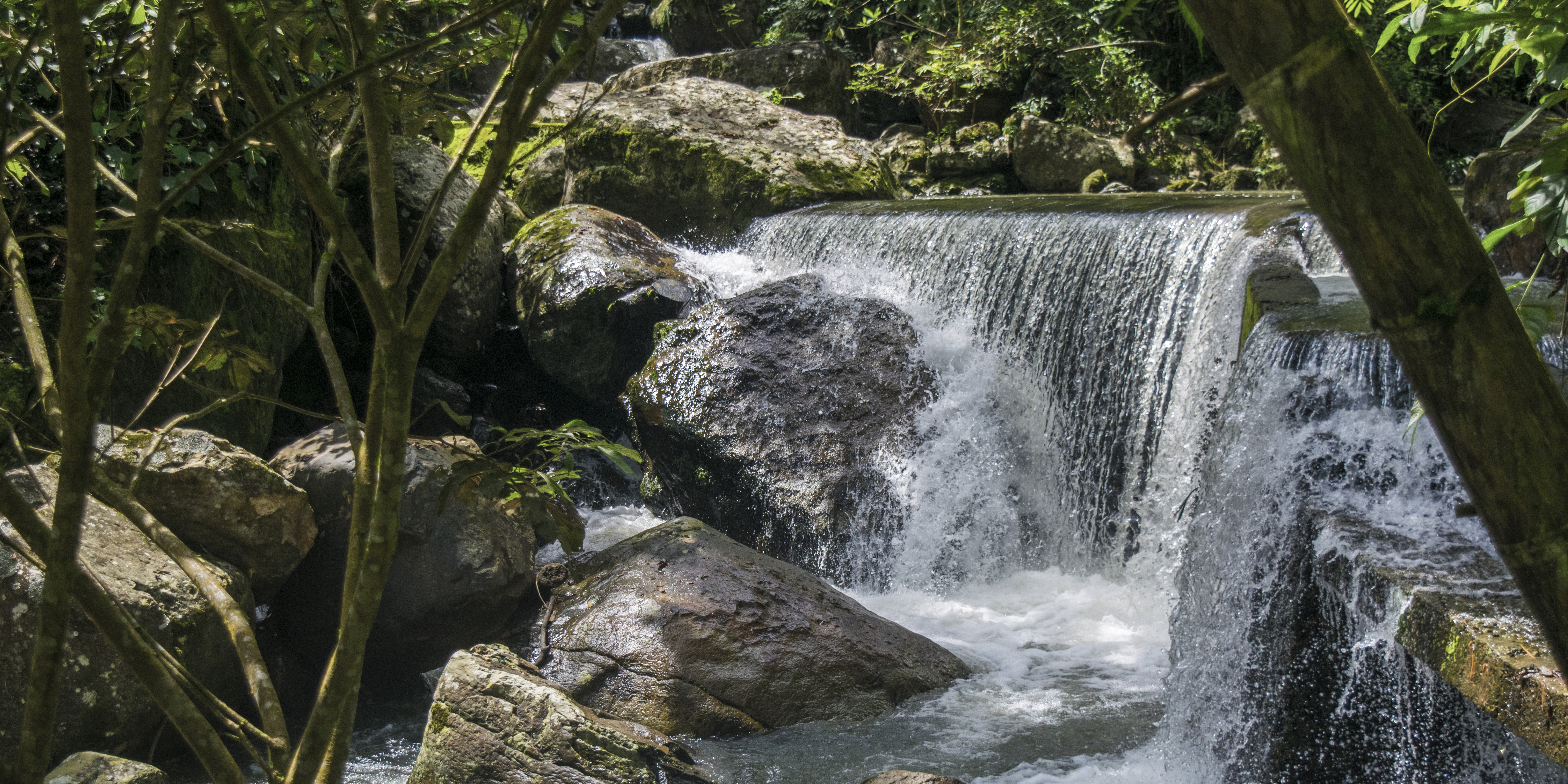 Comunidades campesinas protegen fuentes hídricas de Cundinamarca




