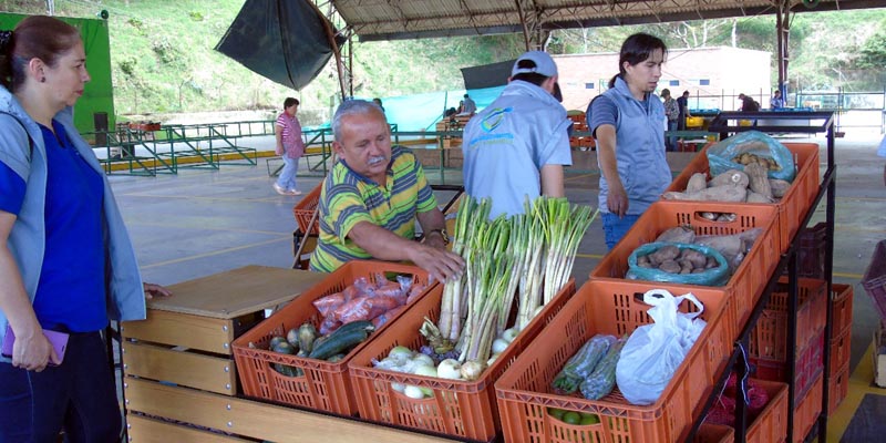 Comerciantes de plaza de mercado de Pacho mejoran exhibición de sus productos
































