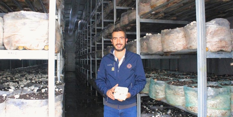 Empresas certificadas en los más altos estándares de calidad para exportar







