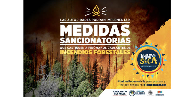 ¡Todos debemos proteger los bosques y prevenir incendios forestales!


