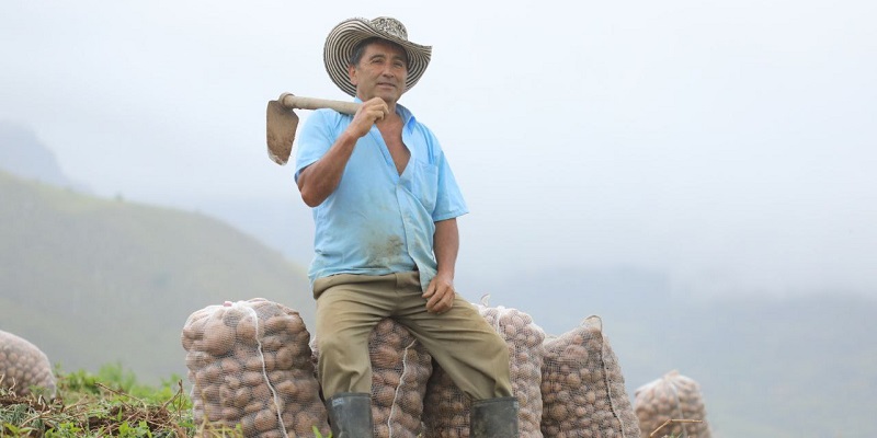 Gobernador anuncia la inversión inicial de $20 mil millones en el lanzamiento del programa “Compramos tu cosecha”