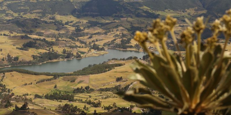 Turismo con propósito: Cundinamarca abre vitrina de negocios verdes en la Gobernación