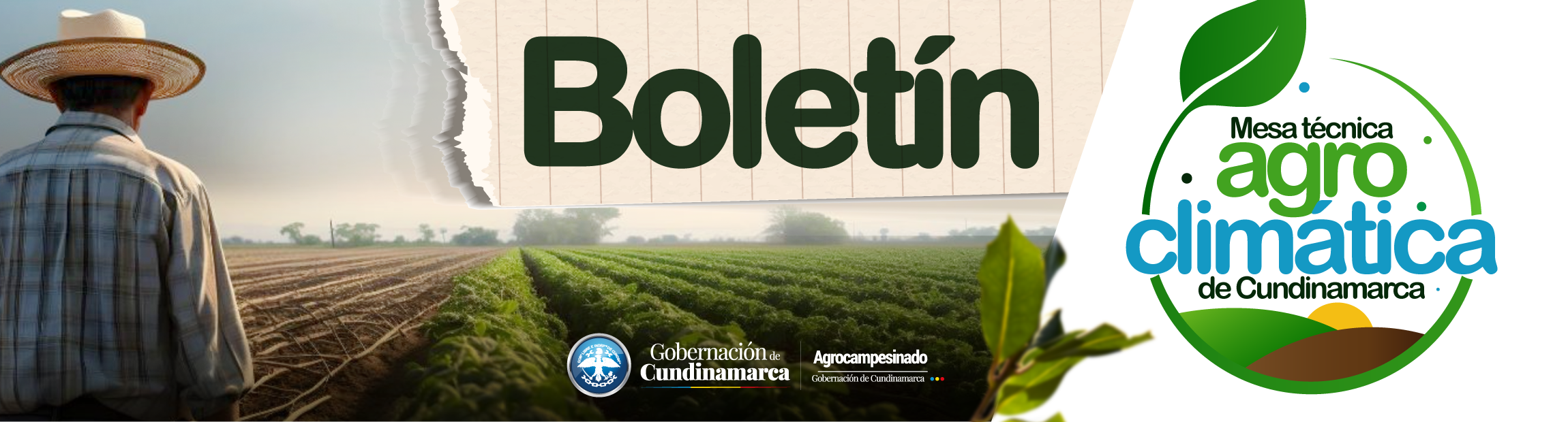 Pieza gráfica