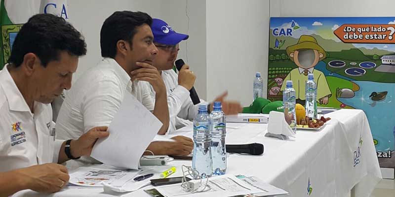 Minagricultura financiará planta de procesamiento de piña en Paratebueno
