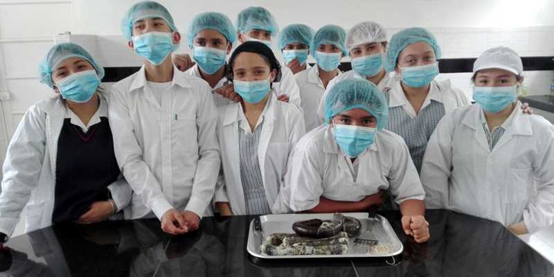SIER: un proyecto para impulsar la educación rural en Cundinamarca