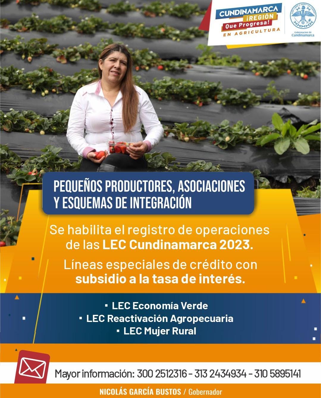 PROGRAMA DE FINANCIAMIENTO DEL SECTOR AGROPECUARIO VIGENCIA  2023