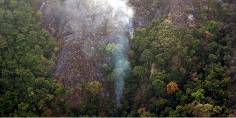 Controlado en 99% incendio forestal que llevaba tres días activo en Girardot





