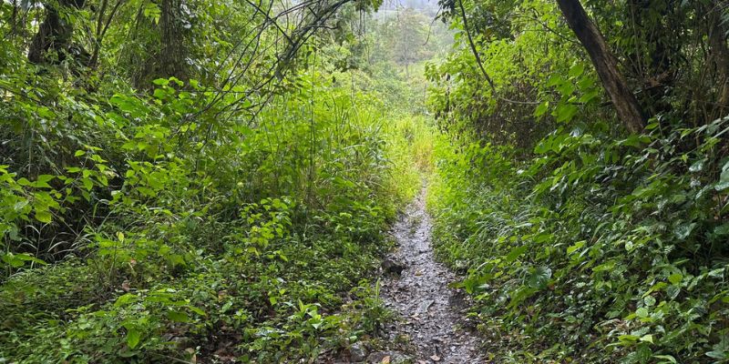 Gobernación de Cundinamarca y CAR destinan más de $30.000 millones para reducir riesgos en la cuenca del río Bogotá