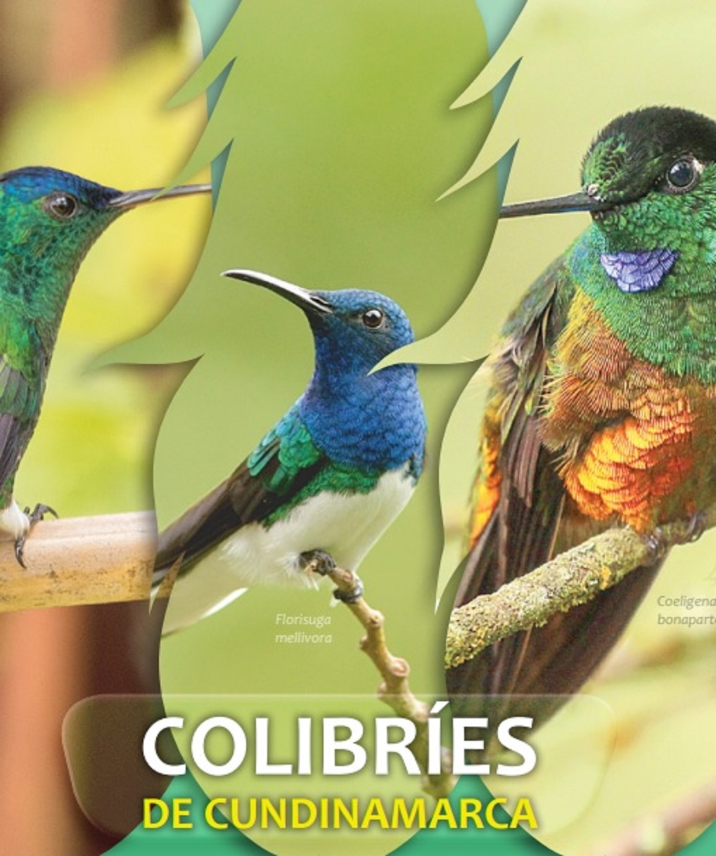 Imagen: Portada de la obra Colibríes de Cundinamarca