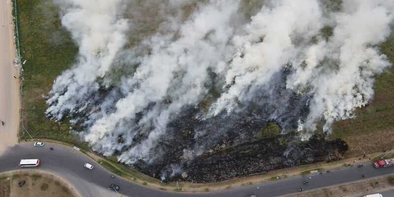 Recomendaciones para prevenir incendios forestales