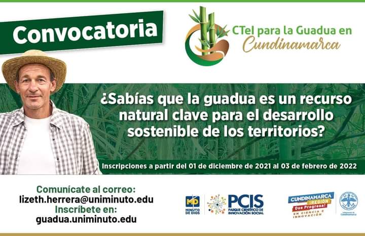 Ciencia, tecnología e innovación para productores de guadua en Cundinamarca