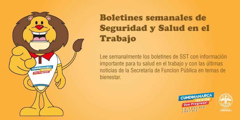 La seguridad y la salud en el trabajo, SST, elementos básicos para nuestro desempeño laboral

