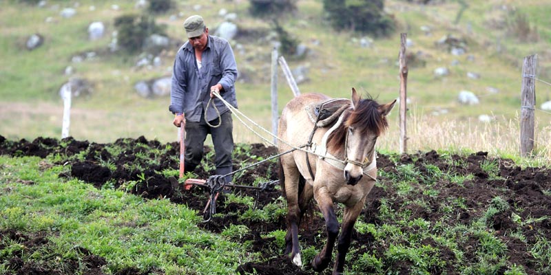 Cundinamarca apoya financiación de proyectos productivos 







































