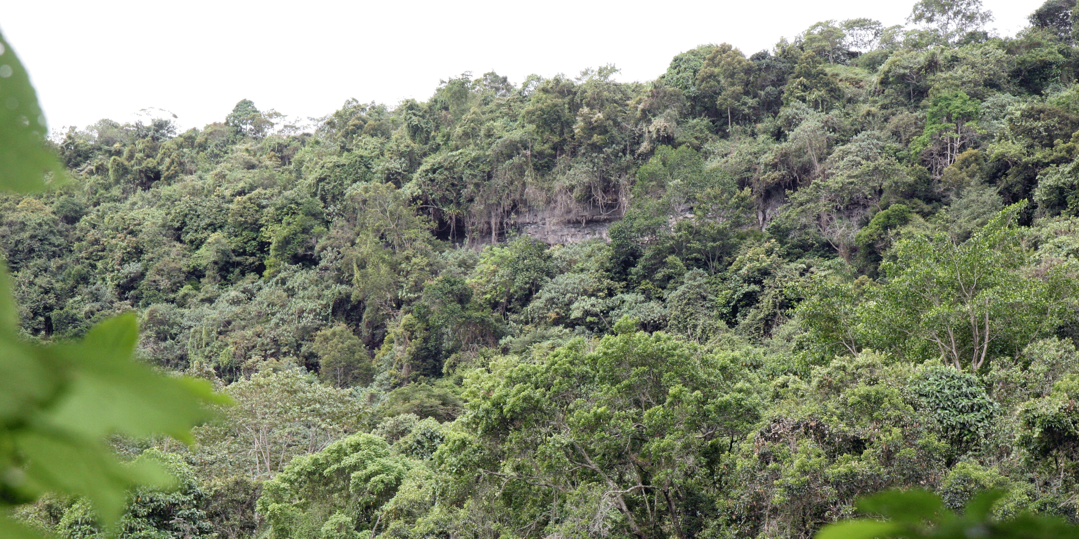 Cerca de $9.500 millones para recuperación y conservación ambiental en Cundinamarca


















































