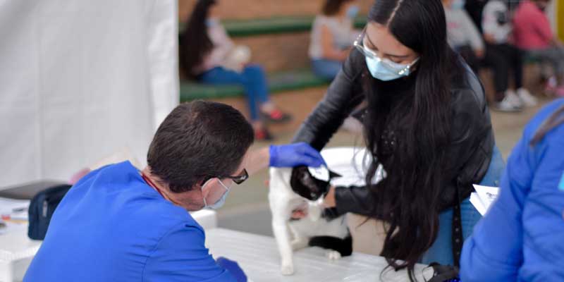 Inicia gran Gira de Bienestar Animal por Cundinamarca


