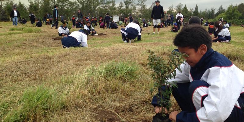 Cundinamarca lo invita a sembrar un árbol el I Festival Ambiental que se realizará en Cucunubá, Tausa y Sutatausa



