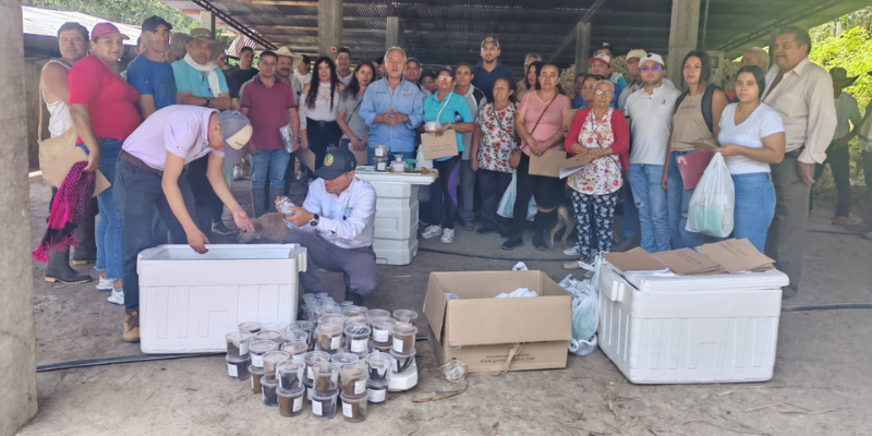 Más de 400 productores de caña panelera fortalecen sus cultivos con control biológico en Cundinamarca